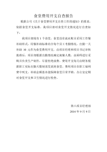 食堂费用开支自查报告
