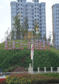 二元一次方程组复习课件