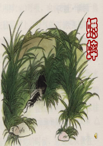 沪江小学资源网_蟋蟀的住宅教学课件_2012121950111909_649