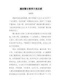 廉政警示教育片观后感