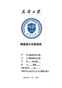 物理演示实验报告