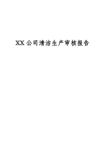 XX公司清洁生产审核报告