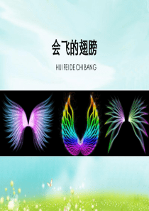 一年级下册美术15会飞的翅膀湘美版