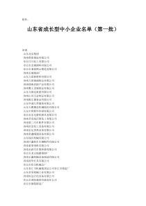 山东省成长型中小企业名单(第一批)