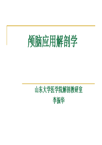 1_颅脑应用解剖学