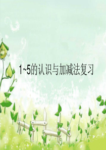 1~5的认识与加减法复习