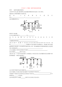 中考化学(沪教版)题型突破实验探究题