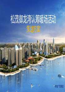 松茂御龙湾认筹活动策划方案0714