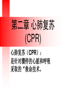 642013年心肺复苏