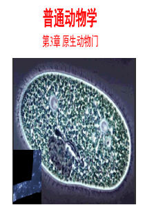 普通动物学―原生动物门(上课版)