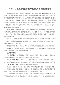 java程序员调查报告