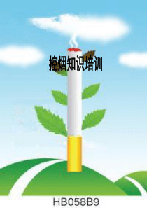 控烟知识培训