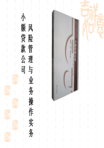 小额贷款公司风险管理与业务操作实务