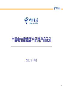 中国电信家庭客户品牌产品设计(1019修改)