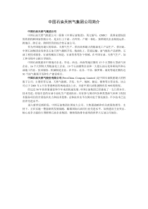 中国石油天然气集团公司简介