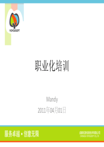 职业化培训