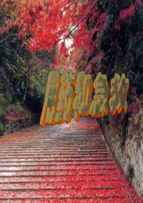 生物：第八单元第二章用药和急救复习课件(人教版八年级下)