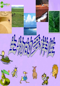 生物：第六单元第二章 认识生物多样性复习课件(人教版八年级上) - Copy