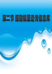 生物：细胞核是遗传信息库课件(人教版七年级上)