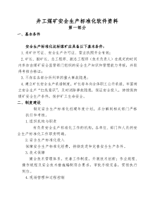 井工煤矿安全生产标准化软件资料.2017