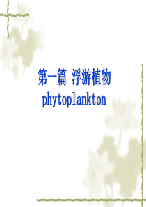01藻类概述