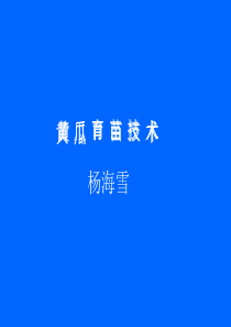 黄瓜育苗技术..