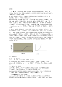 qPCR的原理