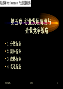 战略培训-发展阶段