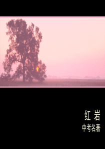 中考名著-《红岩》复习资料