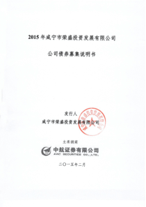 投资发展有限公司公司债券募集说明书