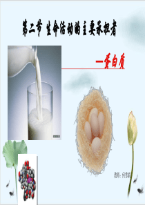 22蛋白质ppt