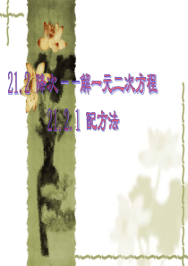 2016年秋人教版九年级数学上册：21.2.1《配方法》ppt课件