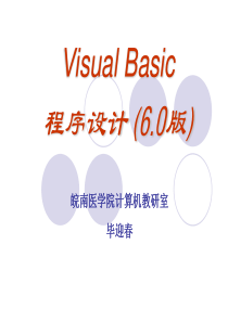VB基础教程入门全篇精讲