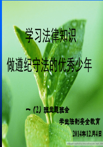 法制教育安全主题班会课件 一(2)