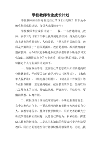 学校教师专业成长计划