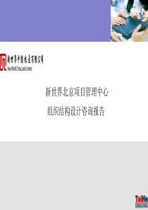 新世界项目管理中心组织结构设计报告