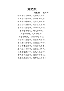 龙之赋1
