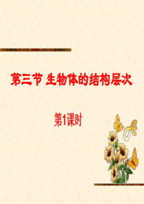 2.3.1生物体的结构层次