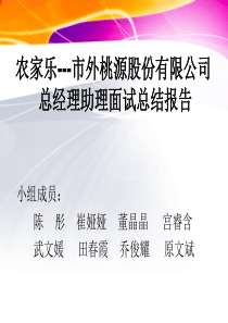 面试总结报告