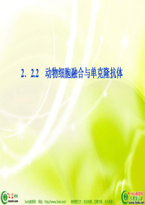 高二生物动物细胞融合与单克隆抗体