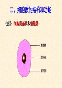 高二生物细胞质的结构和功能