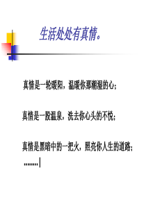 12、用心灵去倾听课件