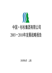 新华信--杉杉集团XXXX-X年发展战略报告