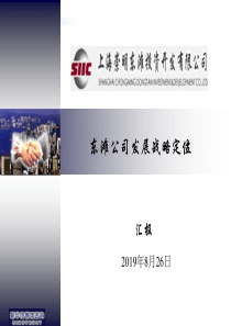 新华信东滩公司发展战略定位综合