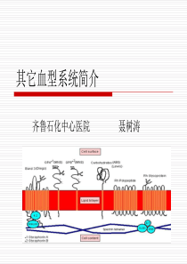 其它血型系统简介