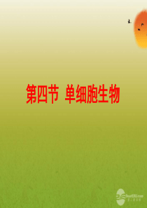 七年级生物上册 第二单元 第二章《细胞怎样构成生物体》第四节《单细胞生物》课件 (新版)新人教版