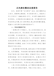 法院个人自查报告