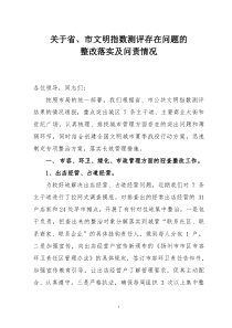 创建全国文明城市整改方案