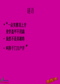 一年级美术课件-神气的大公鸡课件