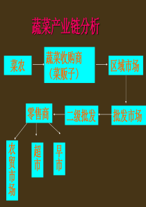 蔬菜的产业链